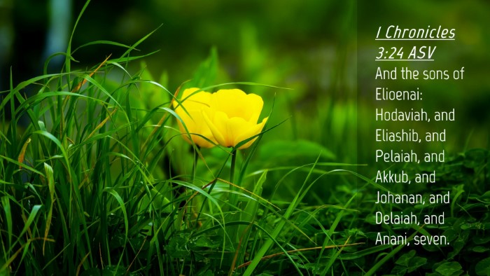 Picture 04 - 1 Chronicles 3:24 ASV Desktop Wallpaper - And the sons of Elioenai: Hodaviah, and Eliashib, - Desktop Bible Verse Wallpaper