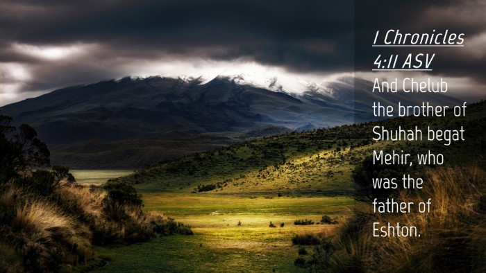 Picture 04 - 1 Chronicles 4:11 ASV Desktop Wallpaper - And Chelub the brother of Shuhah begat Mehir, who - Desktop Bible Verse Wallpaper