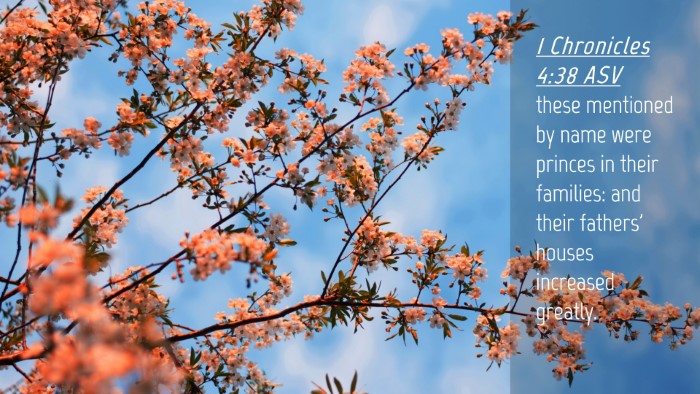 Picture 04 - 1 Chronicles 4:38 ASV Desktop Wallpaper - these mentioned by name were princes in their - Desktop Bible Verse Wallpaper