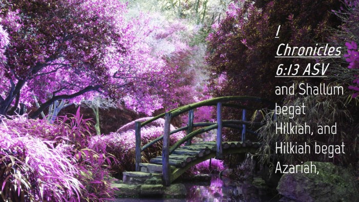 Picture 04 - 1 Chronicles 6:13 ASV Desktop Wallpaper - and Shallum begat Hilkiah, and Hilkiah begat - Desktop Bible Verse Wallpaper