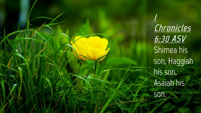 Picture 04 - 1 Chronicles 6:30 ASV Desktop Wallpaper - Shimea his son, Haggiah his son, Asaiah his - Desktop Bible Verse Wallpaper