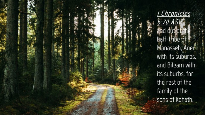 Picture 04 - 1 Chronicles 6:70 ASV Desktop Wallpaper - and out of the half-tribe of Manasseh, Aner with - Desktop Bible Verse Wallpaper