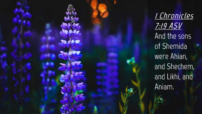 Picture 04 - 1 Chronicles 7:19 ASV Desktop Wallpaper - And the sons of Shemida were Ahian, and Shechem, - Desktop Bible Verse Wallpaper