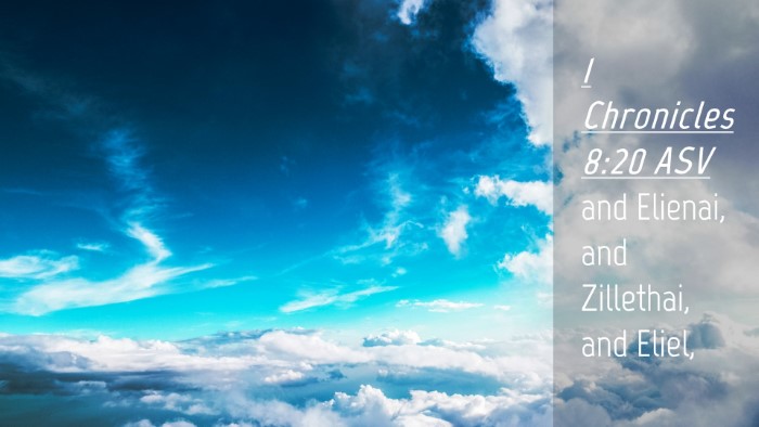 Picture 04 - 1 Chronicles 8:20 ASV Desktop Wallpaper - and Elienai, and Zillethai, and - Desktop Bible Verse Wallpaper