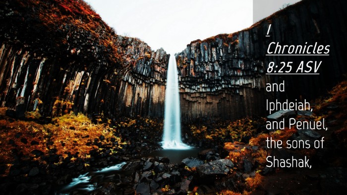 Picture 04 - 1 Chronicles 8:25 ASV Desktop Wallpaper - and Iphdeiah, and Penuel, the sons of - Desktop Bible Verse Wallpaper