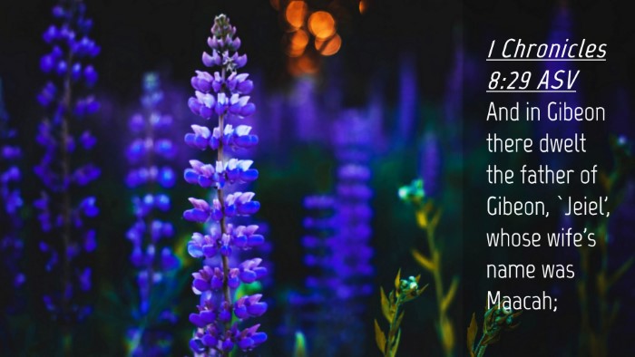 Picture 04 - 1 Chronicles 8:29 ASV Desktop Wallpaper - And in Gibeon there dwelt the father of Gibeon, - Desktop Bible Verse Wallpaper