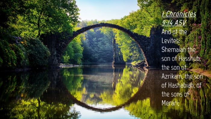 Picture 04 - 1 Chronicles 9:14 ASV Desktop Wallpaper - And of the Levites: Shemaiah the son of Hasshub, - Desktop Bible Verse Wallpaper