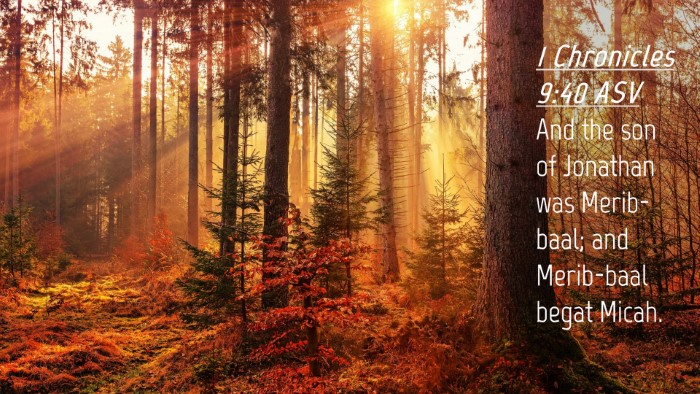 Picture 04 - 1 Chronicles 9:40 ASV Desktop Wallpaper - And the son of Jonathan was Merib-baal; and - Desktop Bible Verse Wallpaper