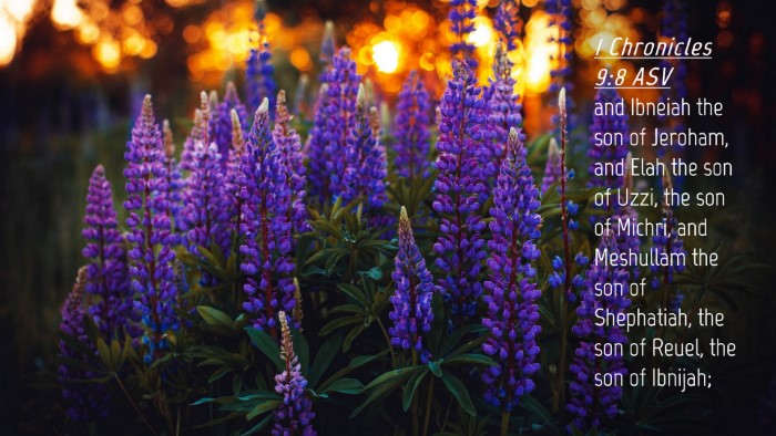 Picture 04 - 1 Chronicles 9:8 ASV Desktop Wallpaper - and Ibneiah the son of Jeroham, and Elah the son - Desktop Bible Verse Wallpaper