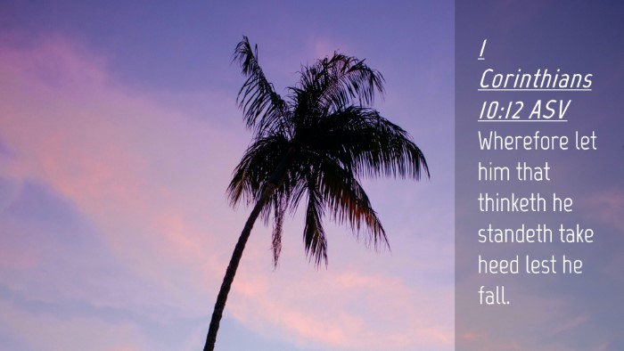 Picture 04 - 1 Corinthians 10:12 ASV Desktop Wallpaper - Wherefore let him that thinketh he standeth take - Desktop Bible Verse Wallpaper