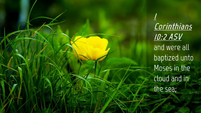 Picture 04 - 1 Corinthians 10:2 ASV Desktop Wallpaper - and were all baptized unto Moses in the cloud and - Desktop Bible Verse Wallpaper