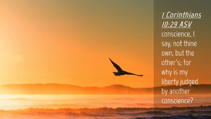 Picture 04 - 1 Corinthians 10:29 ASV Desktop Wallpaper - conscience, I say, not thine own, but the - Desktop Bible Verse Wallpaper