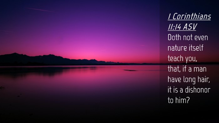 Picture 04 - 1 Corinthians 11:14 ASV Desktop Wallpaper - Doth not even nature itself teach you, that, if a - Desktop Bible Verse Wallpaper