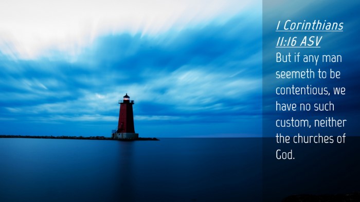 Picture 04 - 1 Corinthians 11:16 ASV Desktop Wallpaper - But if any man seemeth to be contentious, we have - Desktop Bible Verse Wallpaper