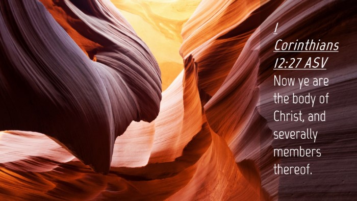 Picture 04 - 1 Corinthians 12:27 ASV Desktop Wallpaper - Now ye are the body of Christ, and severally - Desktop Bible Verse Wallpaper