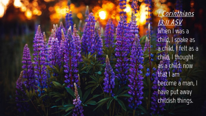 Picture 04 - 1 Corinthians 13:11 ASV Desktop Wallpaper - When I was a child, I spake as a child, I felt as - Desktop Bible Verse Wallpaper