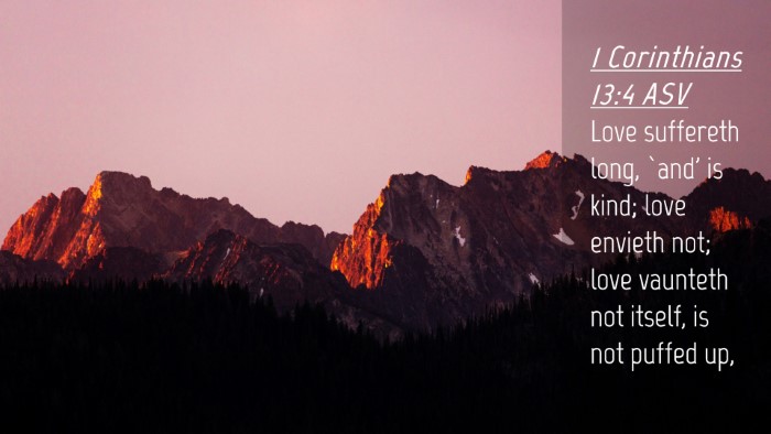 Picture 04 - 1 Corinthians 13:4 ASV Desktop Wallpaper - Love suffereth long, `and' is kind; love envieth - Desktop Bible Verse Wallpaper