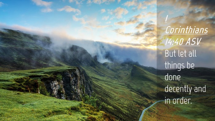 Picture 04 - 1 Corinthians 14:40 ASV Desktop Wallpaper - But let all things be done decently and in - Desktop Bible Verse Wallpaper