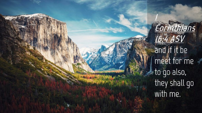 Picture 04 - 1 Corinthians 16:4 ASV Desktop Wallpaper - and if it be meet for me to go also, they shall - Desktop Bible Verse Wallpaper