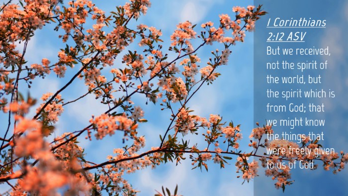 Picture 04 - 1 Corinthians 2:12 ASV Desktop Wallpaper - But we received, not the spirit of the world, but - Desktop Bible Verse Wallpaper