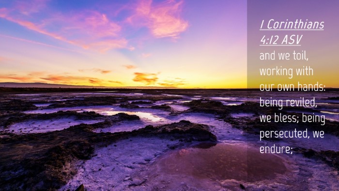 Picture 04 - 1 Corinthians 4:12 ASV Desktop Wallpaper - and we toil, working with our own hands: being - Desktop Bible Verse Wallpaper