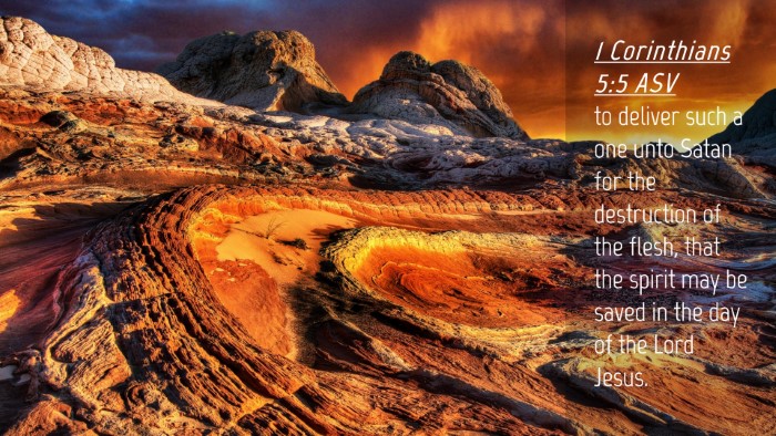 Picture 04 - 1 Corinthians 5:5 ASV Desktop Wallpaper - to deliver such a one unto Satan for the - Desktop Bible Verse Wallpaper