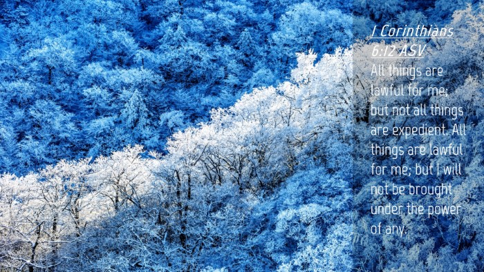 Picture 04 - 1 Corinthians 6:12 ASV Desktop Wallpaper - All things are lawful for me; but not all things - Desktop Bible Verse Wallpaper