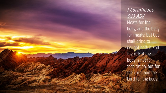 Picture 04 - 1 Corinthians 6:13 ASV Desktop Wallpaper - Meats for the belly, and the belly for meats: but - Desktop Bible Verse Wallpaper
