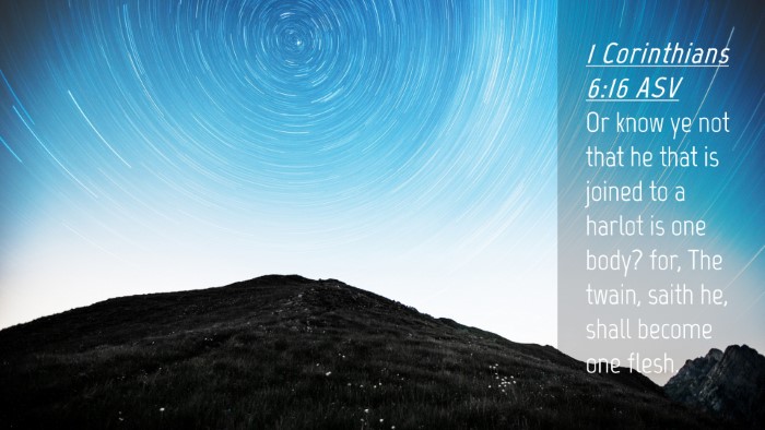 Picture 04 - 1 Corinthians 6:16 ASV Desktop Wallpaper - Or know ye not that he that is joined to a harlot - Desktop Bible Verse Wallpaper