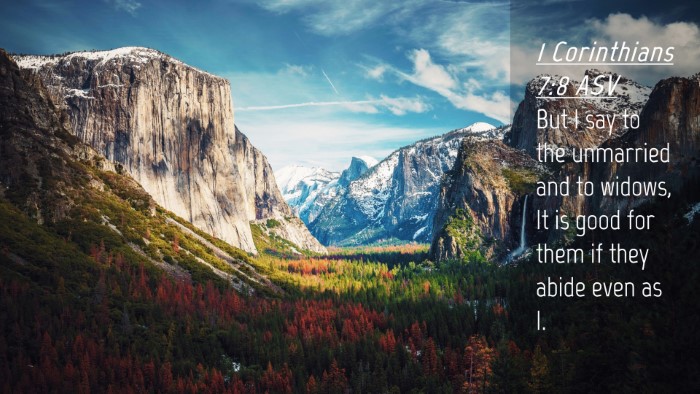 Picture 04 - 1 Corinthians 7:8 ASV Desktop Wallpaper - But I say to the unmarried and to widows, It is - Desktop Bible Verse Wallpaper