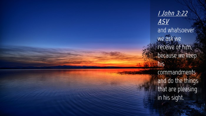 Picture 04 - 1 John 3:22 ASV Desktop Wallpaper - and whatsoever we ask we receive of him, because - Desktop Bible Verse Wallpaper