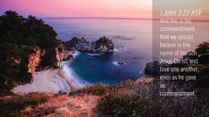 Picture 04 - 1 John 3:23 ASV Desktop Wallpaper - And this is his commandment, that we should - Desktop Bible Verse Wallpaper