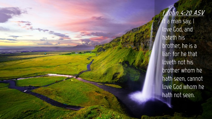 Picture 04 - 1 John 4:20 ASV Desktop Wallpaper - If a man say, I love God, and hateth his brother, - Desktop Bible Verse Wallpaper