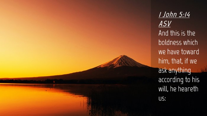 Picture 04 - 1 John 5:14 ASV Desktop Wallpaper - And this is the boldness which we have toward - Desktop Bible Verse Wallpaper