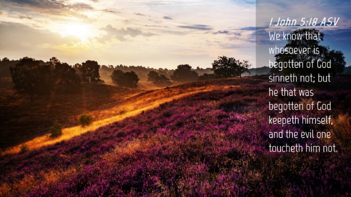 Picture 04 - 1 John 5:18 ASV Desktop Wallpaper - We know that whosoever is begotten of God sinneth - Desktop Bible Verse Wallpaper