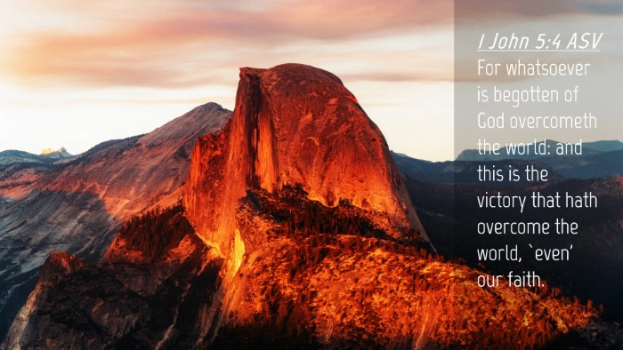 Picture 04 - 1 John 5:4 ASV Desktop Wallpaper - For whatsoever is begotten of God overcometh the - Desktop Bible Verse Wallpaper