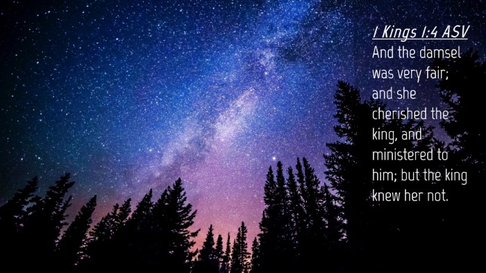 Picture 04 - 1 Kings 1:4 ASV Desktop Wallpaper - And the damsel was very fair; and she cherished - Desktop Bible Verse Wallpaper