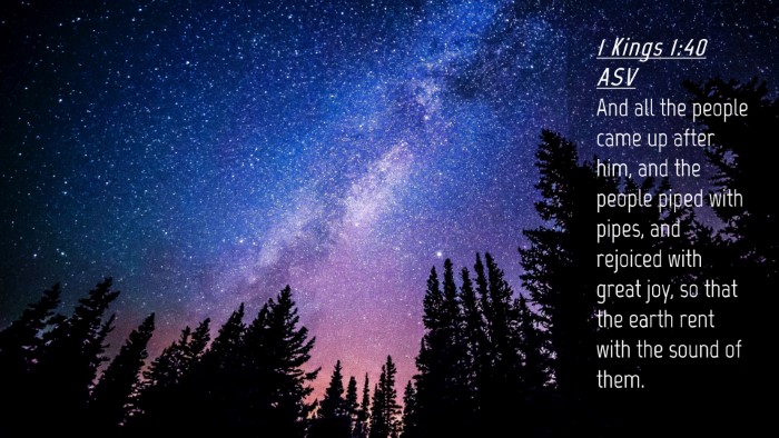 Picture 04 - 1 Kings 1:40 ASV Desktop Wallpaper - And all the people came up after him, and the - Desktop Bible Verse Wallpaper