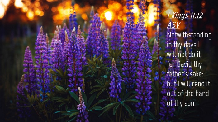 Picture 04 - 1 Kings 11:12 ASV Desktop Wallpaper - Notwithstanding in thy days I will not do it, for - Desktop Bible Verse Wallpaper