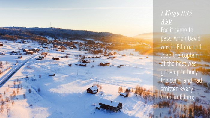 Picture 04 - 1 Kings 11:15 ASV Desktop Wallpaper - For it came to pass, when David was in Edom, and - Desktop Bible Verse Wallpaper