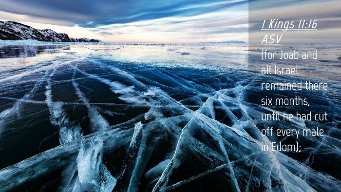 Picture 04 - 1 Kings 11:16 ASV Desktop Wallpaper - (for Joab and all Israel remained there six - Desktop Bible Verse Wallpaper