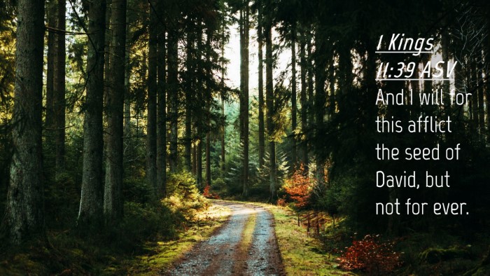 Picture 04 - 1 Kings 11:39 ASV Desktop Wallpaper - And I will for this afflict the seed of David, - Desktop Bible Verse Wallpaper