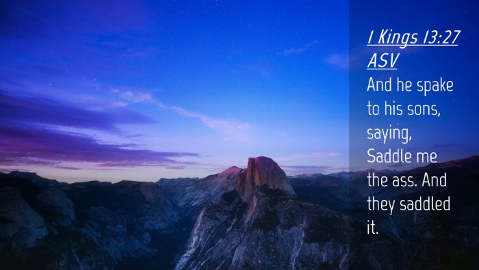 Picture 04 - 1 Kings 13:27 ASV Desktop Wallpaper - And he spake to his sons, saying, Saddle me the - Desktop Bible Verse Wallpaper