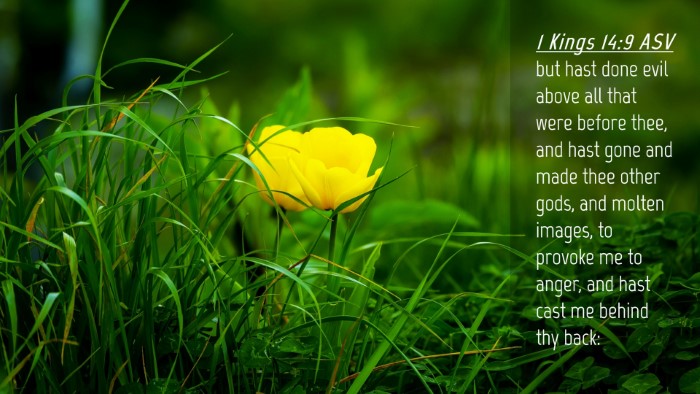 Picture 04 - 1 Kings 14:9 ASV Desktop Wallpaper - but hast done evil above all that were before - Desktop Bible Verse Wallpaper