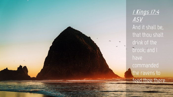 Picture 04 - 1 Kings 17:4 ASV Desktop Wallpaper - And it shall be, that thou shalt drink of the - Desktop Bible Verse Wallpaper