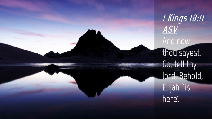 Picture 04 - 1 Kings 18:11 ASV Desktop Wallpaper - And now thou sayest, Go, tell thy lord, Behold, - Desktop Bible Verse Wallpaper