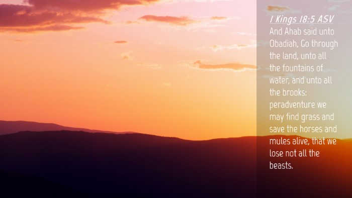 Picture 04 - 1 Kings 18:5 ASV Desktop Wallpaper - And Ahab said unto Obadiah, Go through the land, - Desktop Bible Verse Wallpaper
