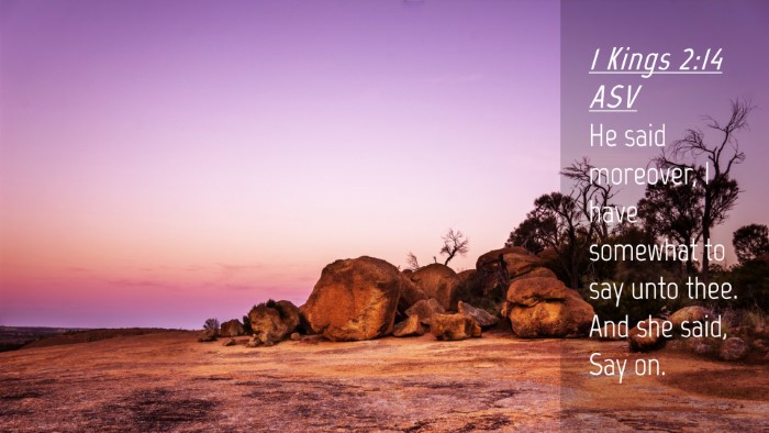 Picture 04 - 1 Kings 2:14 ASV Desktop Wallpaper - He said moreover, I have somewhat to say unto - Desktop Bible Verse Wallpaper