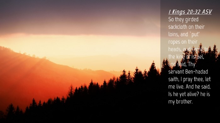 Picture 04 - 1 Kings 20:32 ASV Desktop Wallpaper - So they girded sackcloth on their loins, and - Desktop Bible Verse Wallpaper