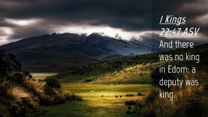 Picture 04 - 1 Kings 22:47 ASV Desktop Wallpaper - And there was no king in Edom: a deputy was - Desktop Bible Verse Wallpaper